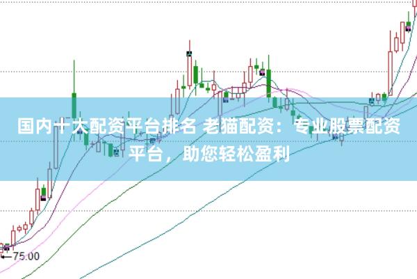 国内十大配资平台排名 老猫配资：专业股票配资平台，助您轻松盈利