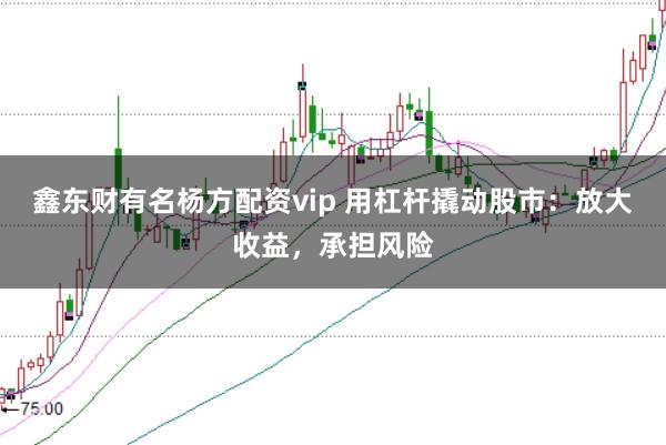 鑫东财有名杨方配资vip 用杠杆撬动股市:放大收益,承担风险
