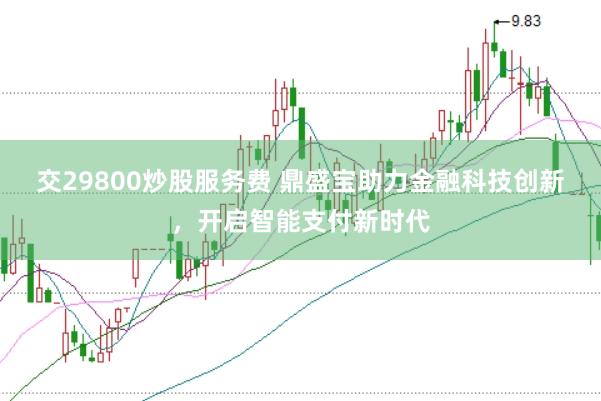 交29800炒股服务费 鼎盛宝助力金融科技创新，开启智能支付新时代
