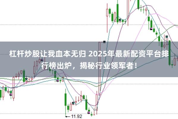 杠杆炒股让我血本无归 2025年最新配资平台排行榜出炉，揭秘行业领军者！