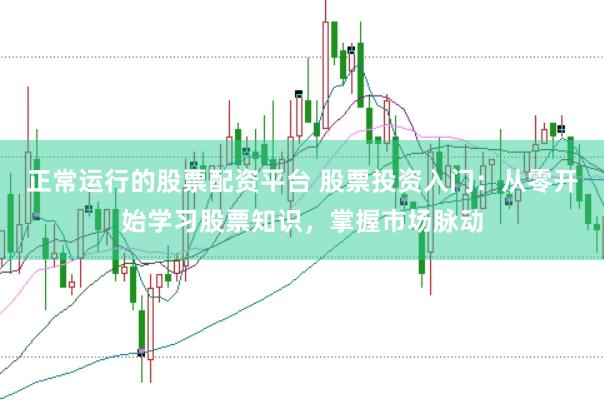 正常运行的股票配资平台 股票投资入门：从零开始学习股票知识，掌握市场脉动